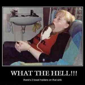 Obrázek 'What the hell'