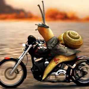 Obrázek 'WhenSnailInHurry'