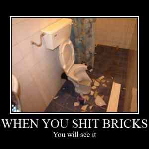 Obrázek 'WhenYouShitBricks'