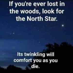 Obrázek 'When&nbsp;you&nbsp;are&nbsp;lost'