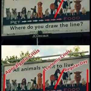 Obrázek 'Where&nbsp;I&nbsp;Draw&nbsp;The&nbsp;LineS'