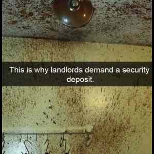Obrázek 'Why Landlords Want A Security Deposit'