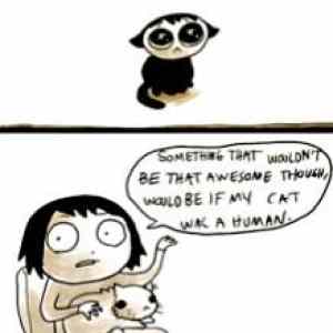 Obrázek 'Why being a cat is awesome'