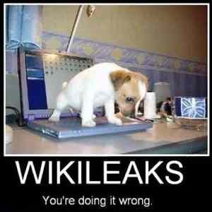 Obrázek 'Wikileaks 30-12-2011'
