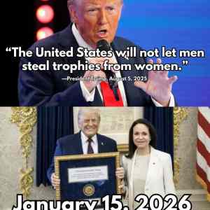 Obrázek 'Will&nbsp;Not'