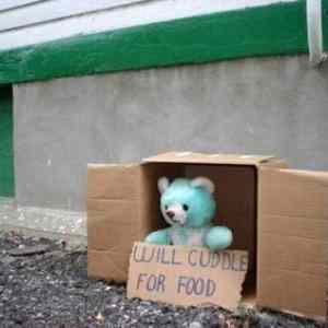 Obrázek 'Will cuddle for food'