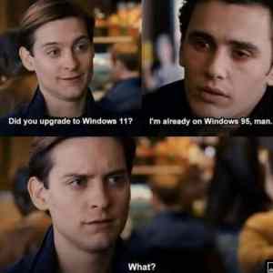 Obrázek 'Windows and dorks'