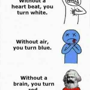 Obrázek 'Without&nbsp;a&nbsp;brain'