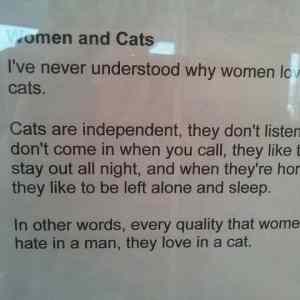 Obrázek 'WomenAndCats&nbsp;&nbsp;'