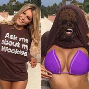 Obrázek 'Wookiee3678'