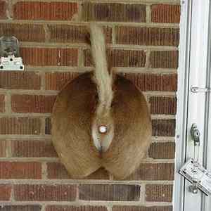 Obrázek 'Would You Press The Doorbell - 28-05-2012'