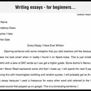 Obrázek 'Writing Essays'