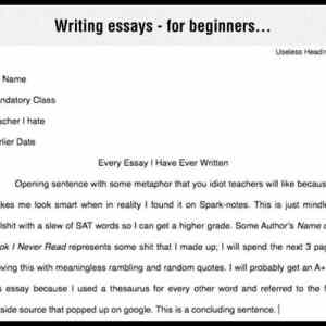 Obrázek 'Writing&nbsp;Essays'