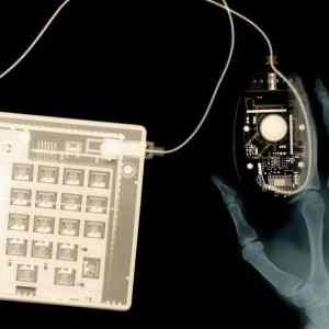 Obrázek 'X-Ray 17-03-2012'