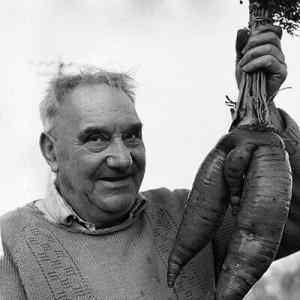 Obrázek 'X-&nbsp;Giggle&nbsp;Giggle'