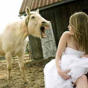 Obrázek 'X- Horse Freaks Out Girl'