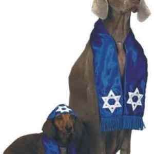 Obrázek 'X- Israel dogs'