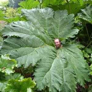 Obrázek 'X-&nbsp;Little&nbsp;man'