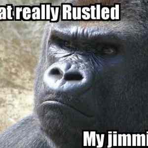 Obrázek 'X- Rustled My Jimmies'