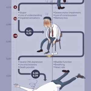 Obrázek 'X- The Impact of Alcohol on your Body'