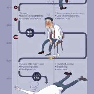 Obrázek 'X- The Impact of Alcohol on your Body'