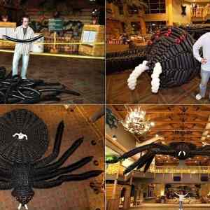 Obrázek 'X- The Largest Modelling Balloon Spider in the World'