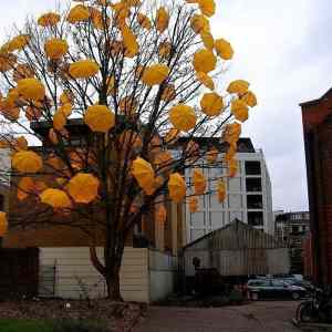 Obrázek 'X- Umbrellas tree '
