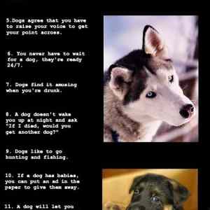Obrázek 'X- Why Dogs are Better Then Women'