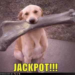 Obrázek 'X - Jackpot'