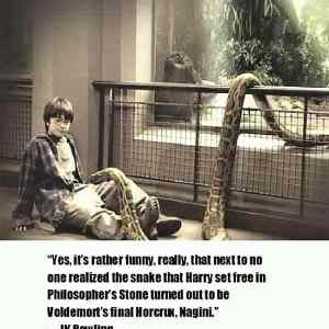 Obrázek 'Yes&nbsp;-&nbsp;Its&nbsp;rather&nbsp;funny'