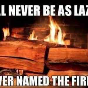 Obrázek 'You Will Never Be This Lazy'