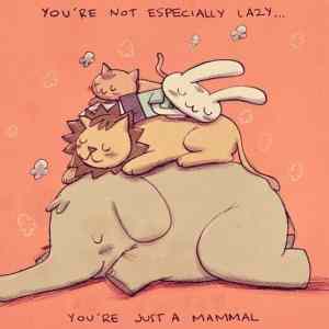 Obrázek 'You are not especially lazy'