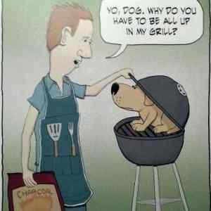 Obrázek 'You dog 24-03-2012'