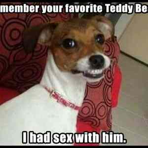 Obrázek 'Your Favorite Bear    '