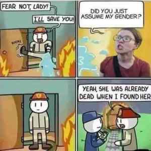 Obrázek 'Youre fired'