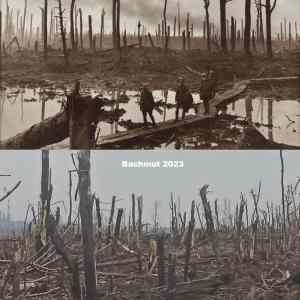 Obrázek 'Ypres vs Bakhmut'