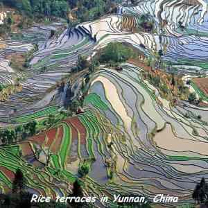 Obrázek 'Yunnan-China'