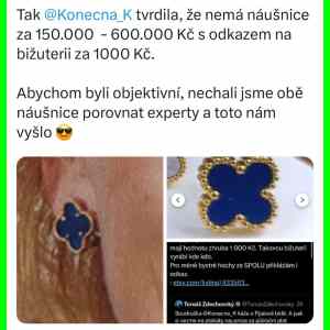 Obrázek 'Zdechozvksy bere 300.000 kc mesicne a breci nad nausnicemi kolegyne'