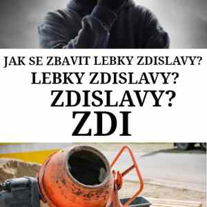 Obrázek 'Zdislava'