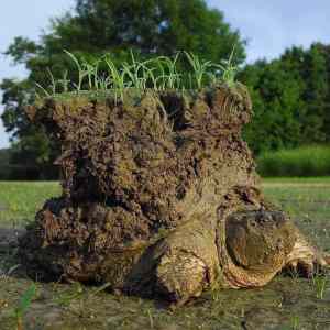 Obrázek 'Zemeplocha'