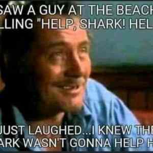 Obrázek 'Zralok&nbsp;zachranar'