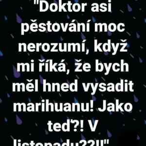 Obrázek '&nbsp;20201117&nbsp;140122'