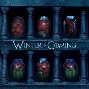 Obrázek ' Winter is coming '