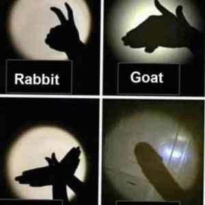 Obrázek '&nbsp;&nbsp;anaconda'