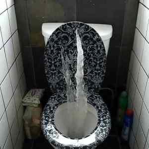 Obrázek ' bsdm toilet '