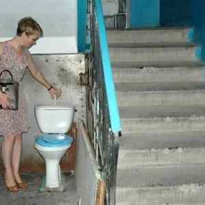 Obrázek ' free toilet '