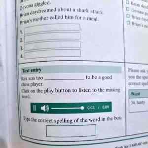 Obrázek ' text entry '