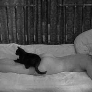 Obrázek 'a.aaa-Cat-Photobomb-2012'