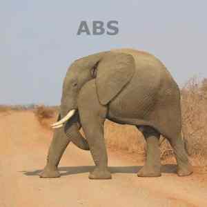 Obrázek 'abs'