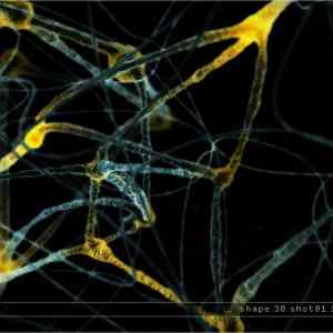 Obrázek 'abstracts02'